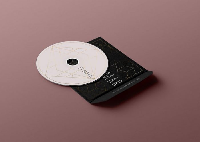ozel-cd-zarfı